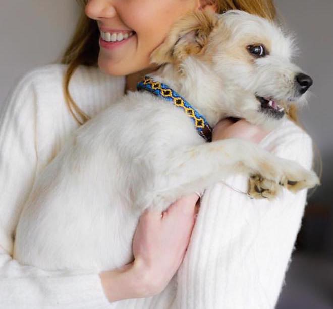 Extra-small Leather Dog Collar for mini dog breeds