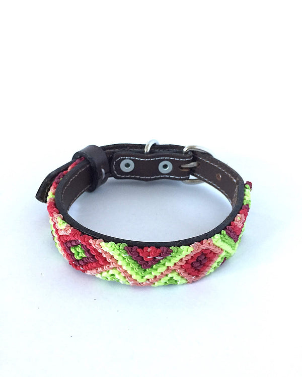 Makan Small Size Dog Collar Red & Green front view