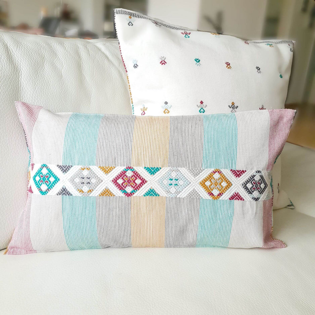 Set of two decorative pillows changos and universo arrecife