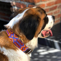 Makan Large Leather Dog Collar for extra big breed St. Bernard
