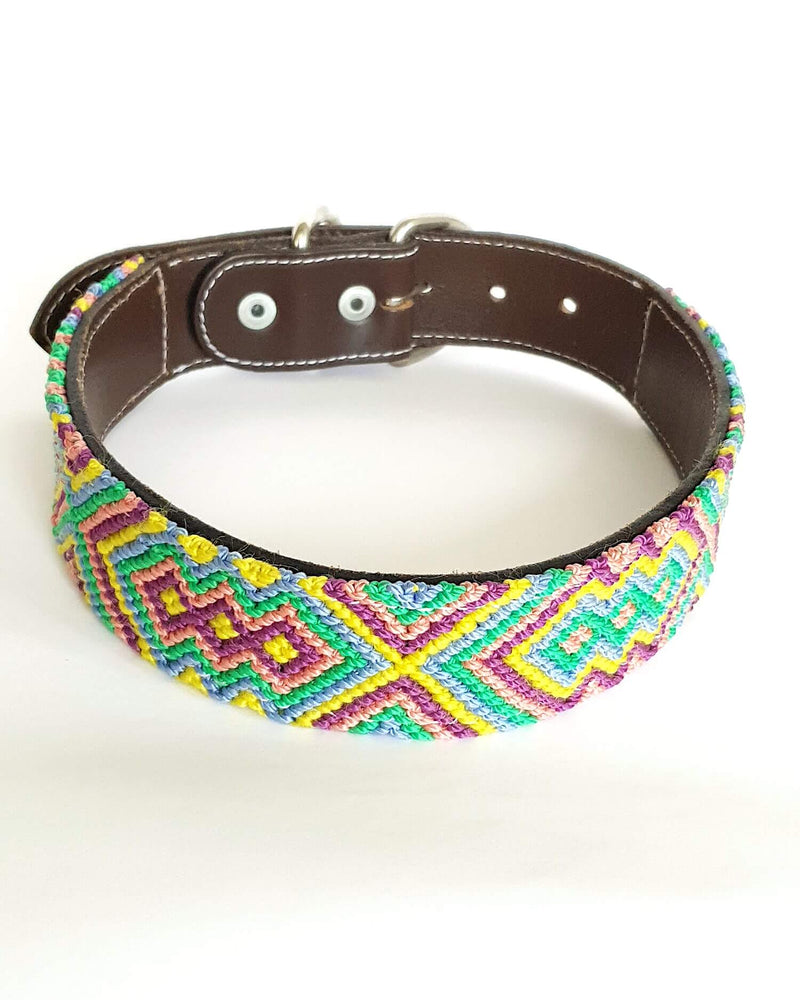 products/Leather-dog-collar-large-green-yellow-purple.jpg