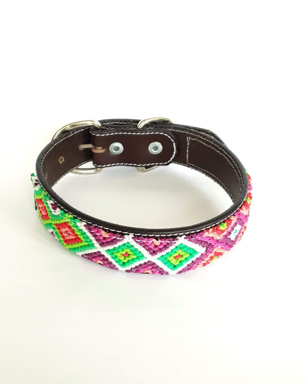 Medium Leather Dog Collar with Handwoven Green, Purple & Red Pattern