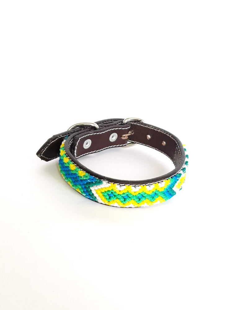 products/Leather-dog-collar-small-blue-green-yellow-white.jpg