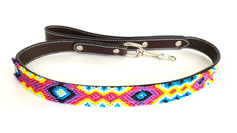 products/Leather-dog-leash-red-blue-yellow-purple.jpg