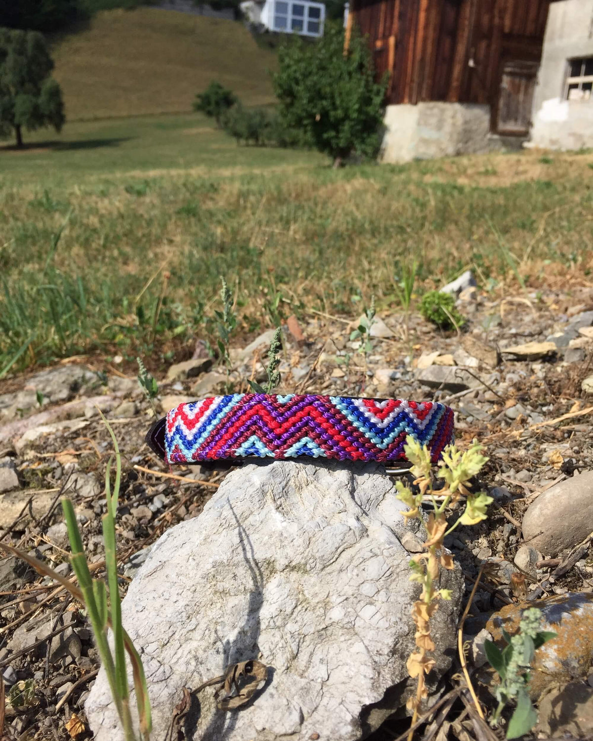 Makan Medium Size Dog Collar Purple, Red & Blue on top of rock