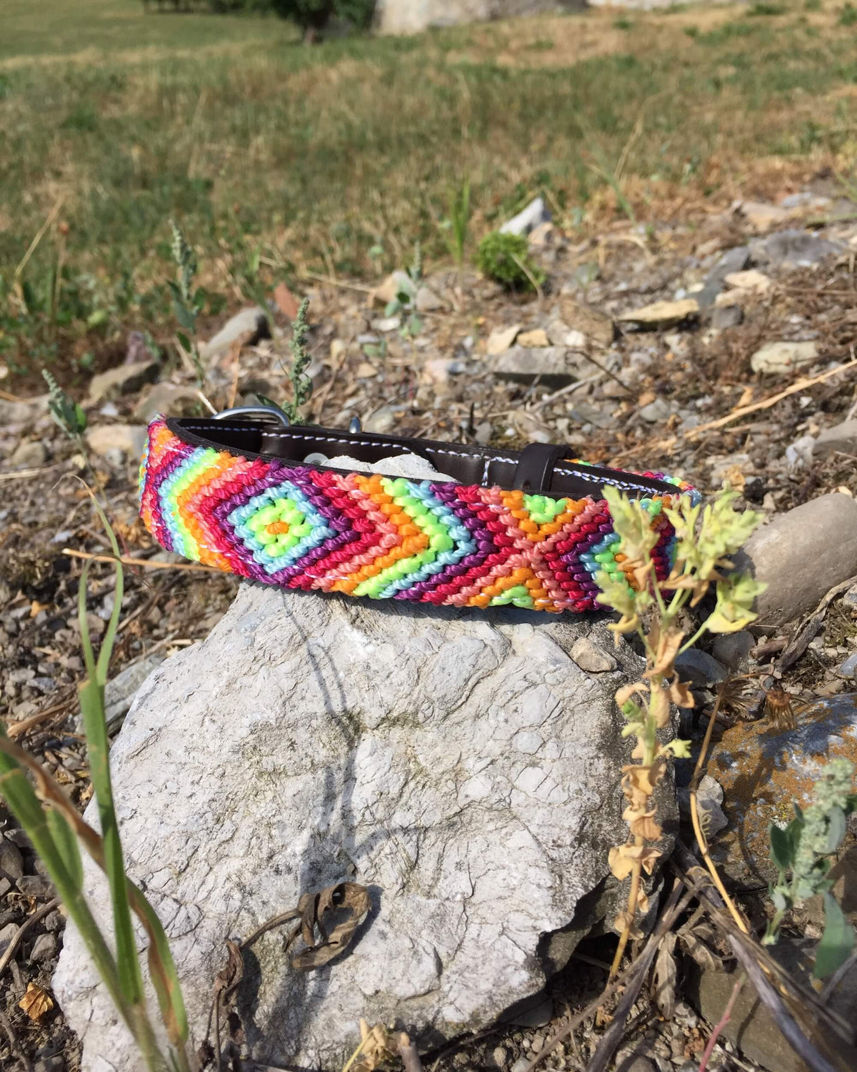 Makan Medium Size Dog Collar Orange, Green & Purple on top of rock