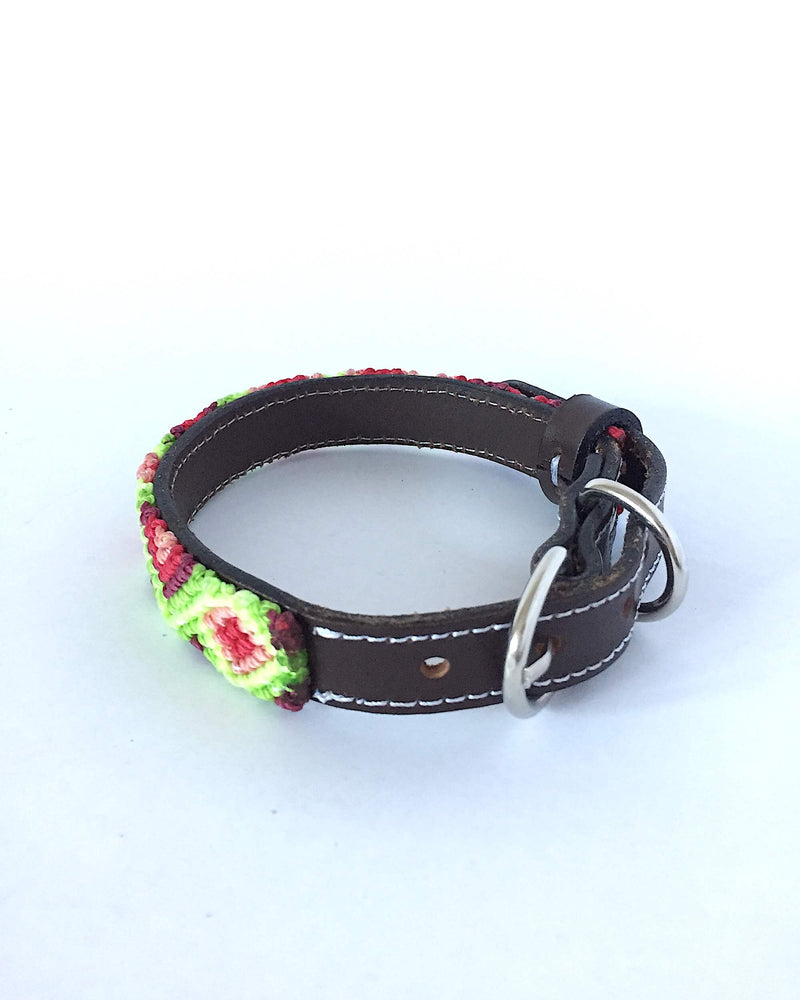 products/Makan_Small_Size_Dog_Collar_32_buckle.JPG