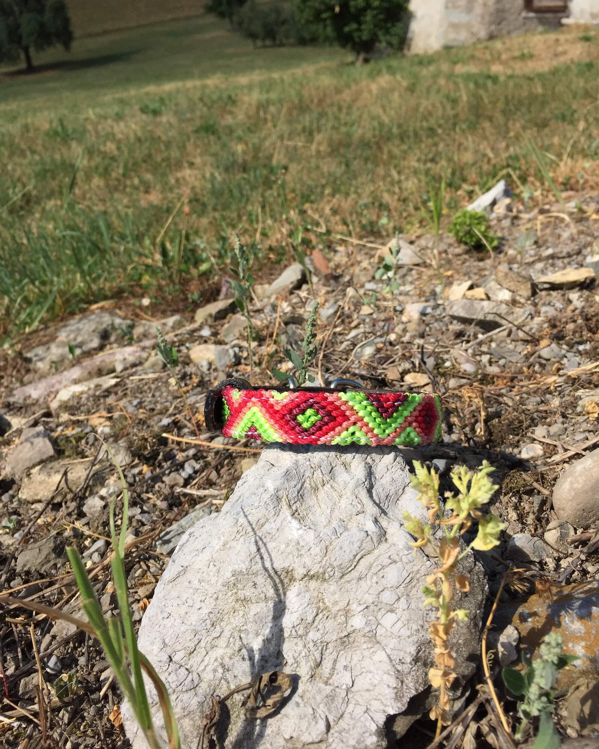Makan Small Size Dog Collar Red & Green on top of rock