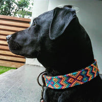 Makan Medium Leather Dog Collar for medium breed Labrador